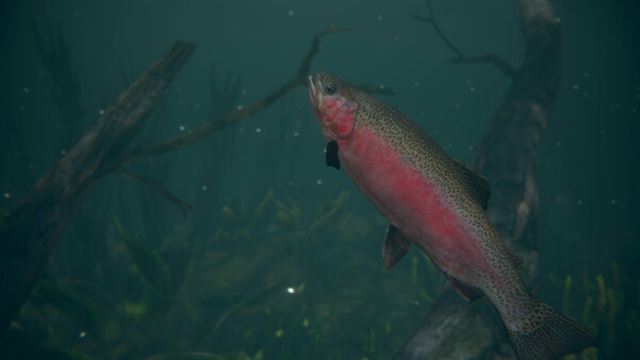 Tải game Ultimate Fishing Simulator 2-RUNE
