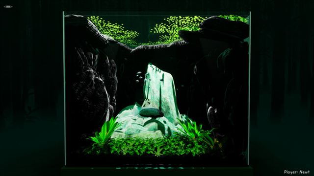 Tải game Fish Game v00.02.62-P2P