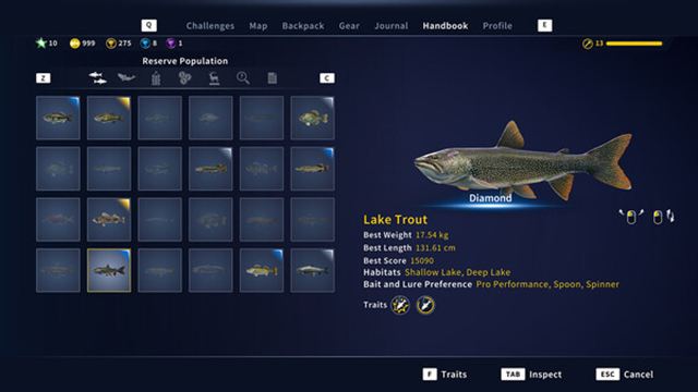 Tải game Call of the Wild The Angler v1.7.5-RUNE