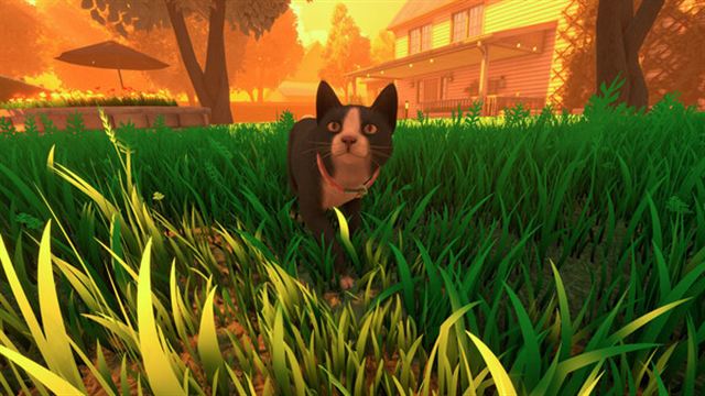 Tải game Copycat v1.0.6-P2P