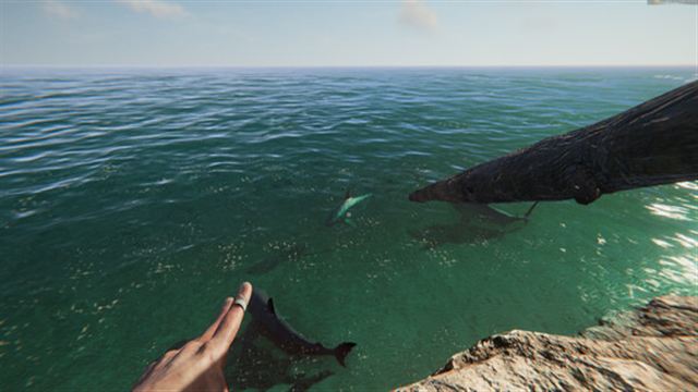 Tải game Project Castaway Early Access