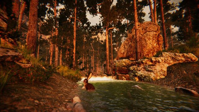 Tải game Animal Simulator-TENOKE