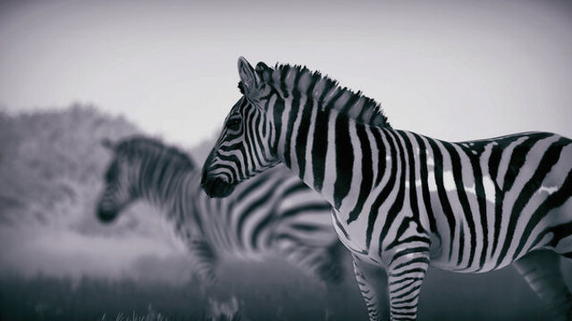 Tải game Seclusa-TENOKE