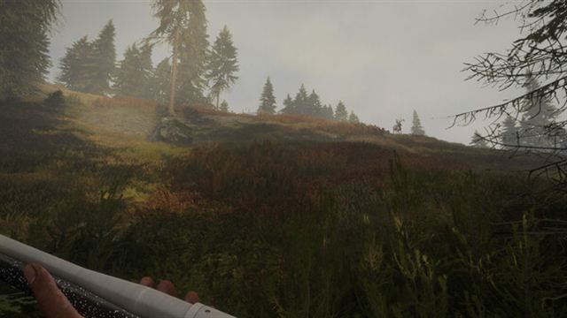 Tải game TheHunter Call of the Wild v3028143-P2P