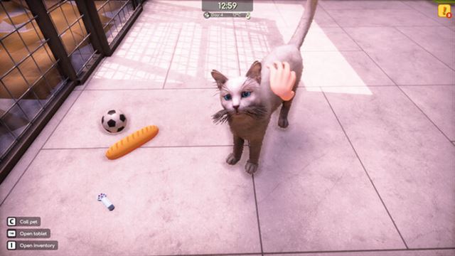 Tải game Animal Shelter 2 v1.0.32-P2P