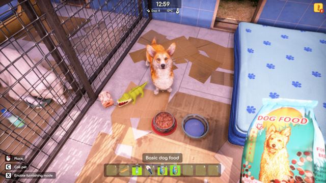 Tải game Animal Shelter 2 Anniversary-RUNE