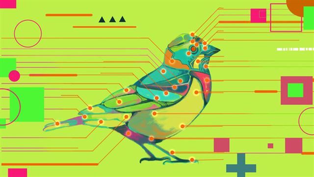Tải game Avian Enigma-TENOKE
