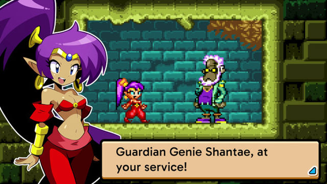 Tải game Shantae Advance Risky Revolution-TiNYiSO