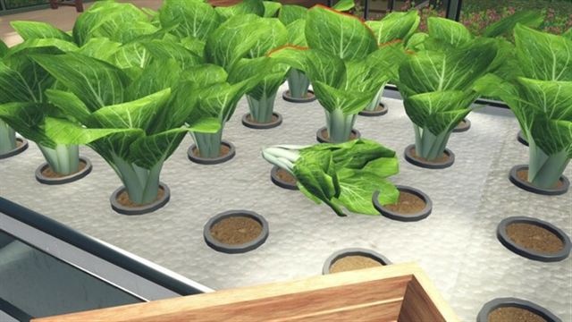 Tải game Hydroponics Farm and Store Simulator Early Access