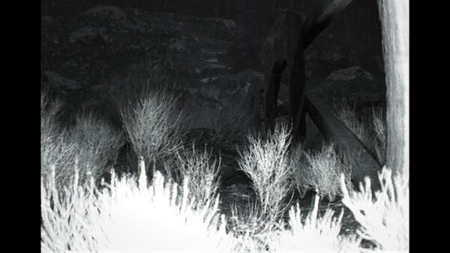 Tải game TRAILCAM-TiNYiSO