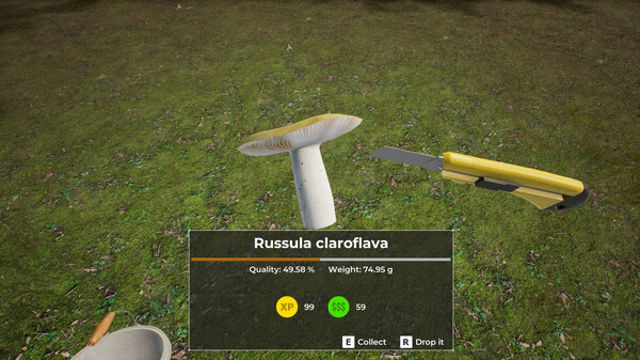 Tải game Mushroom Hunter World-TENOKE