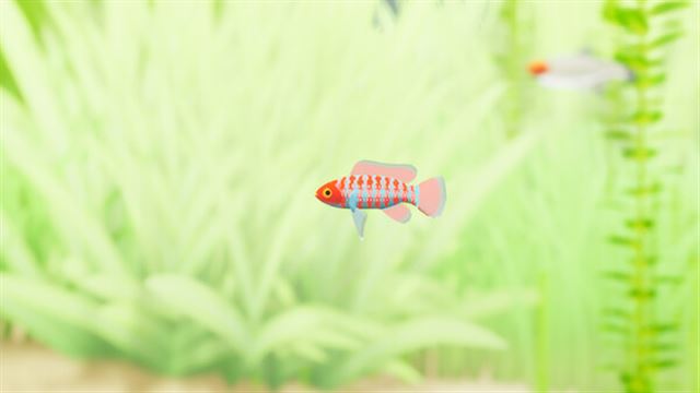Tải game Fish Game Indian Subcontinent Fish Pack 1-TENOKE