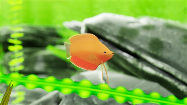 Tải game Fish Game Indian Subcontinent Fish Pack 1-TENOKE