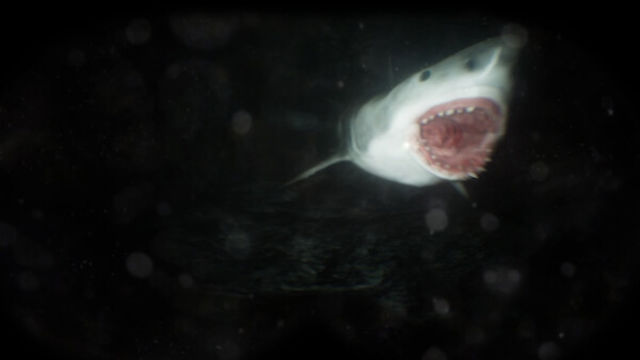 Tải game Scary Cave Diving-GoldBerg