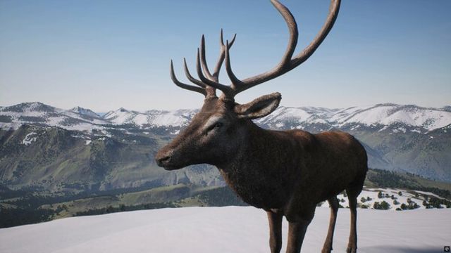 Tải game PROJECT HUNT Trophy Sanctuary-TENOKE