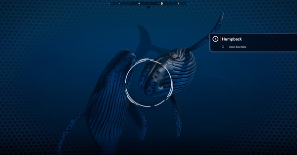 Tải game Beyond Blue v1.7.17798-P2P