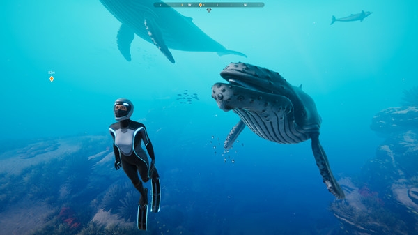 Tải game Beyond Blue v1.7.17798-P2P