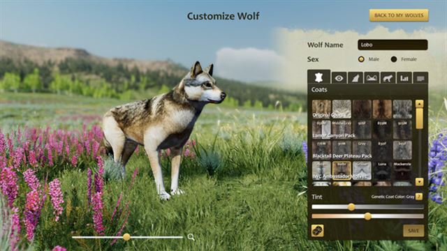 Tải game WolfQuest Anniversary Edition v2.0.3d-P2P