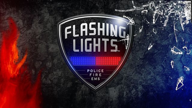 Tải game Flashing Lights v20241031-P2P Tải game Flashing Lights v20241031-P2P